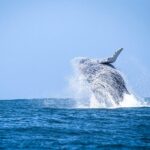 São Sebastião é finalista no Prêmio Nacional do Turismo, o mais importante do setor no Brasil