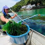 Instituto de Pesca lança campanha para preservação das áreas de maricultura em Ubatuba