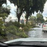 Primeira semana de 2026 deve ter chuvas intensas na RMVale, alerta Defesa Civil