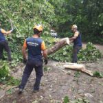 Defesa Civil de Ilhabela acompanha alerta de chuvas intensas para o Litoral Norte