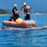 Baleia-jubarte presa em rede de pesca é resgatada e segue sob monitoramento em Ubatuba