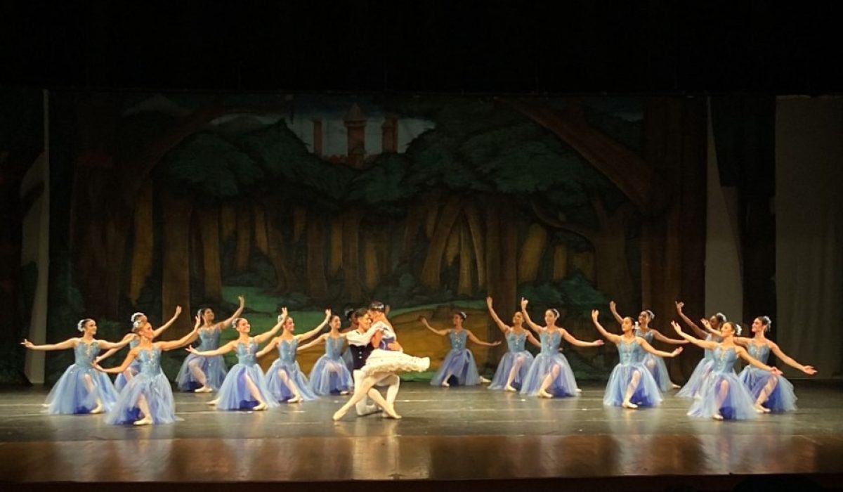 54893098925_c3ebd221bc_b