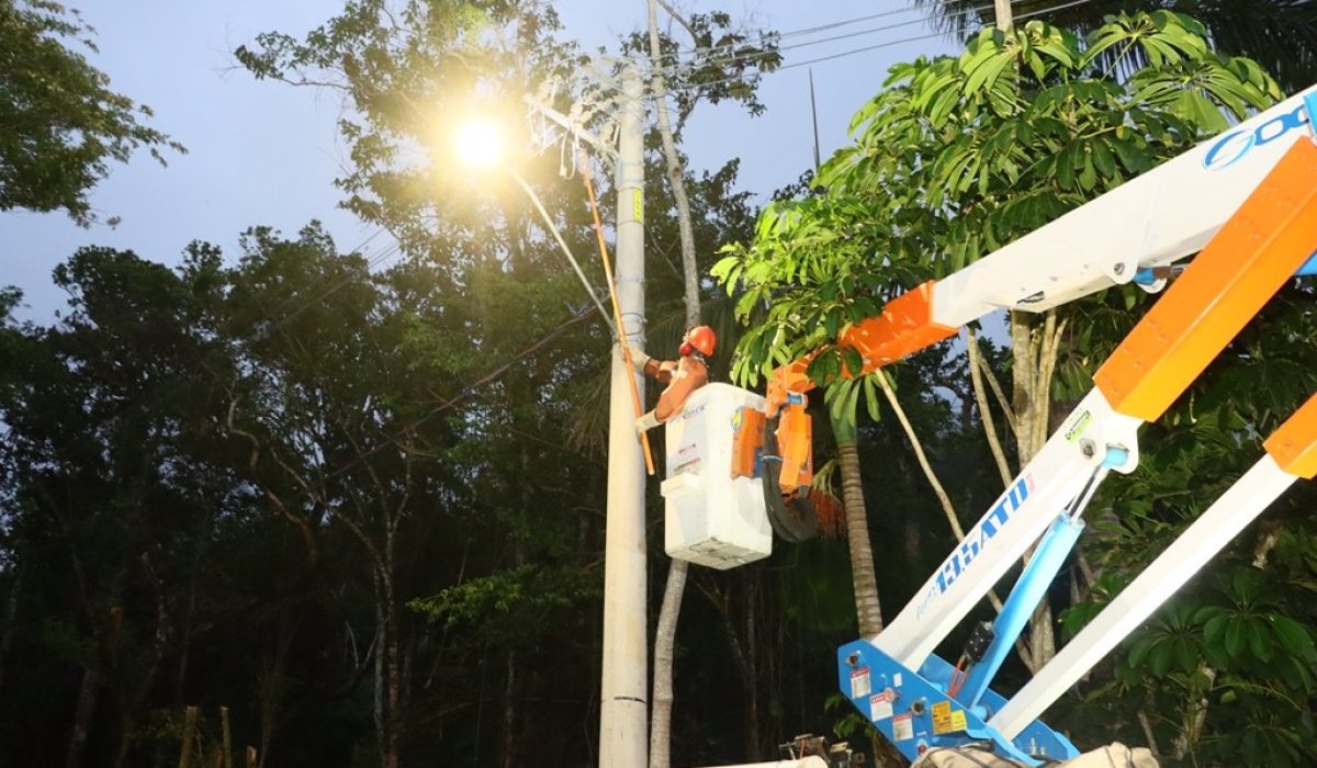 54900437149_6e8e09fe9f_b