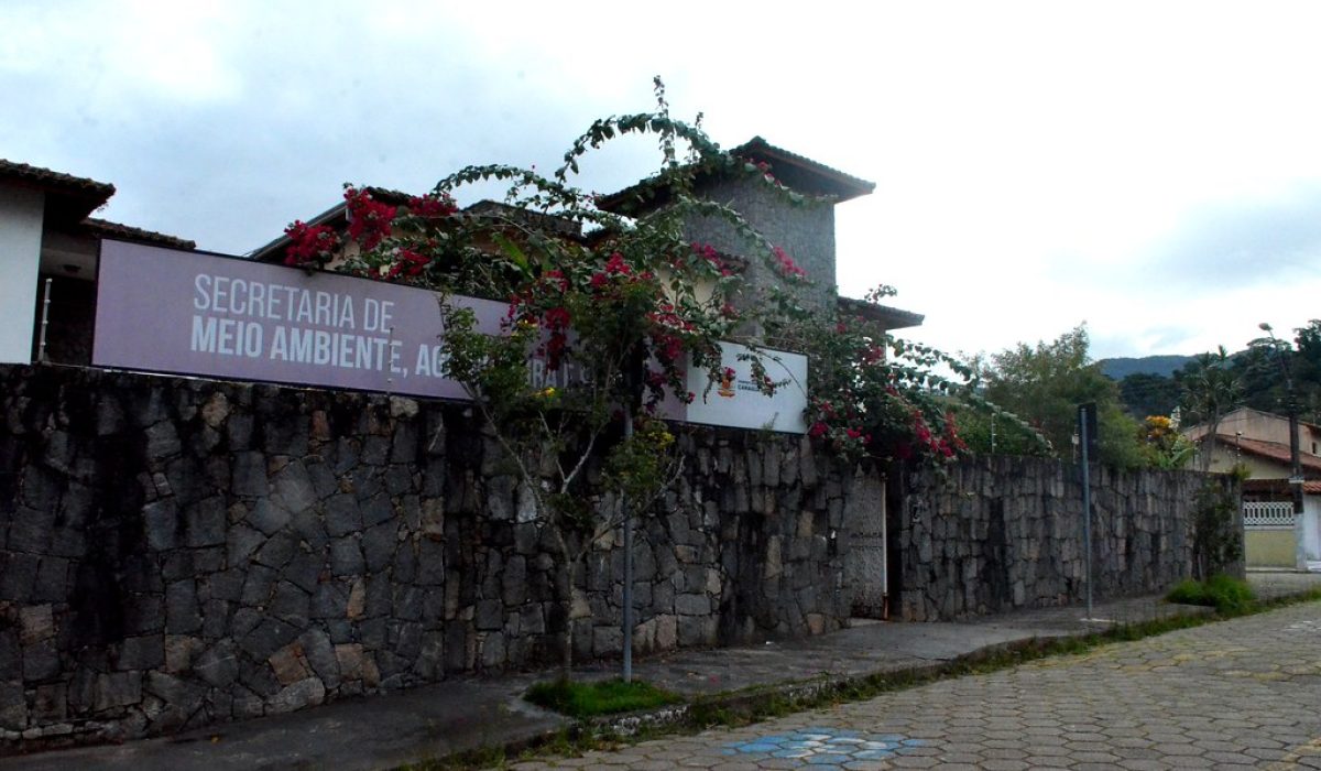 54902754419_6214236c91_b