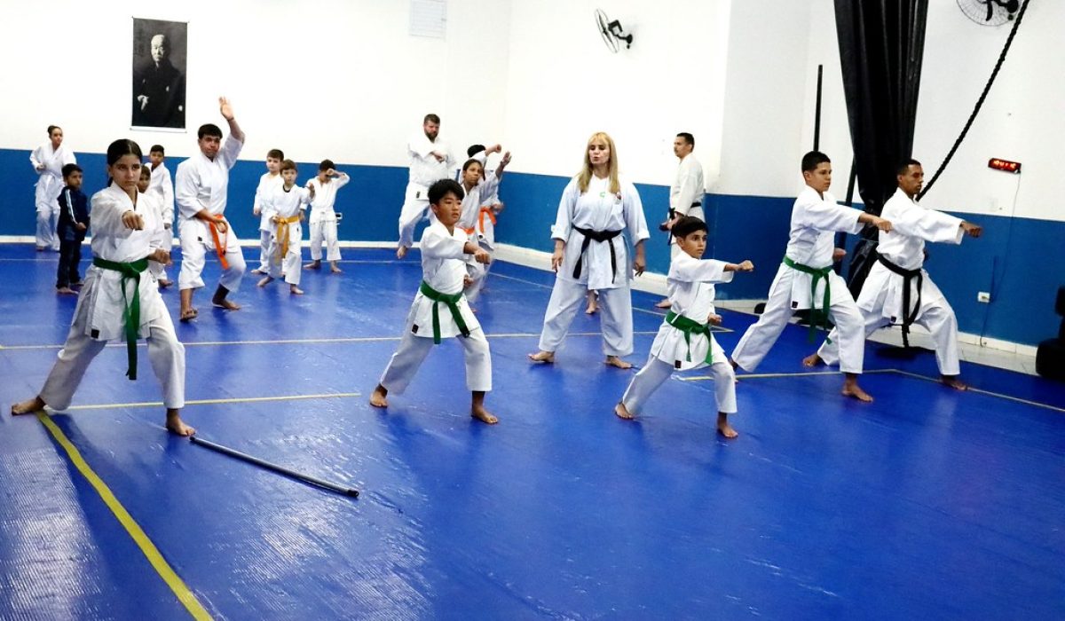 54908318896_3b816b1cc6_b