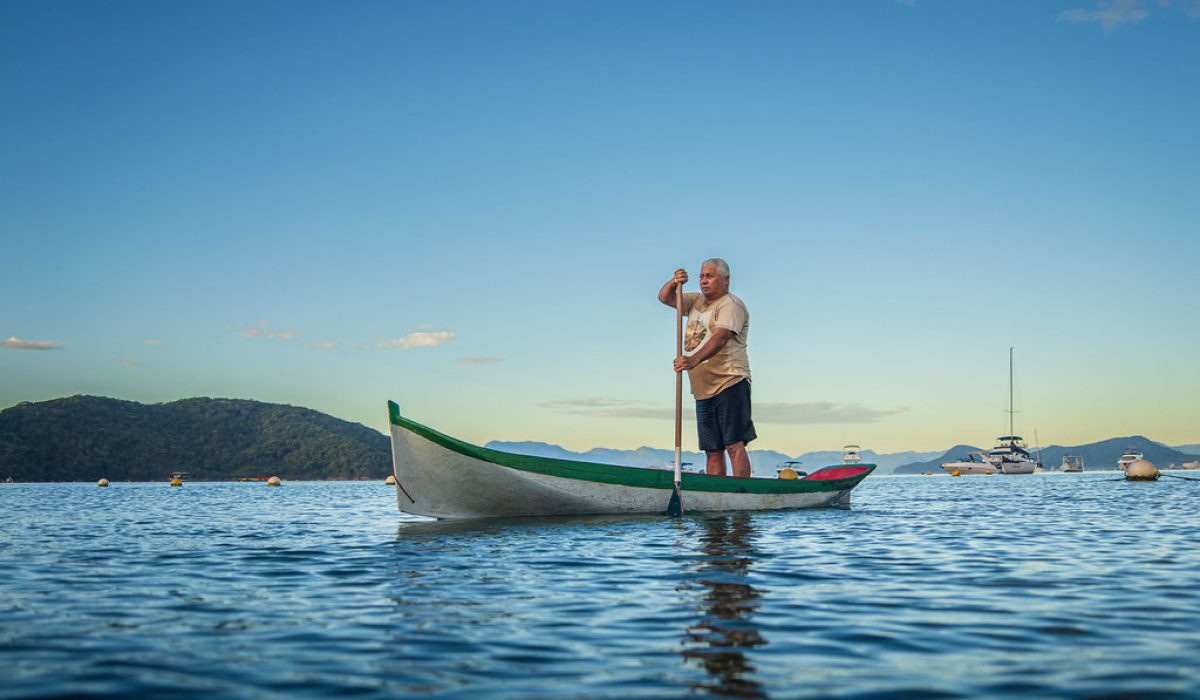 55041621716_dbd73f52c7_b