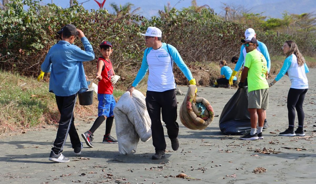 55052489604_6ecf41767b_b