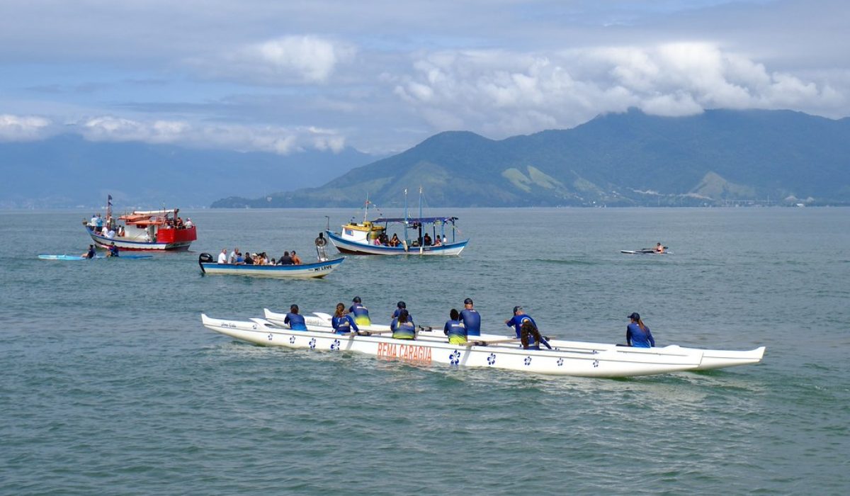 55054039881_b8a527e7ab_b