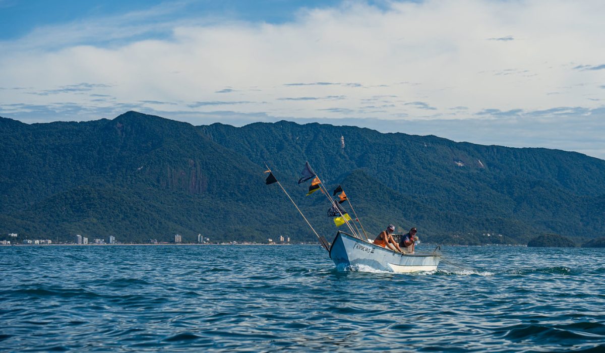 55075286200_6bf4ba3fb7_b