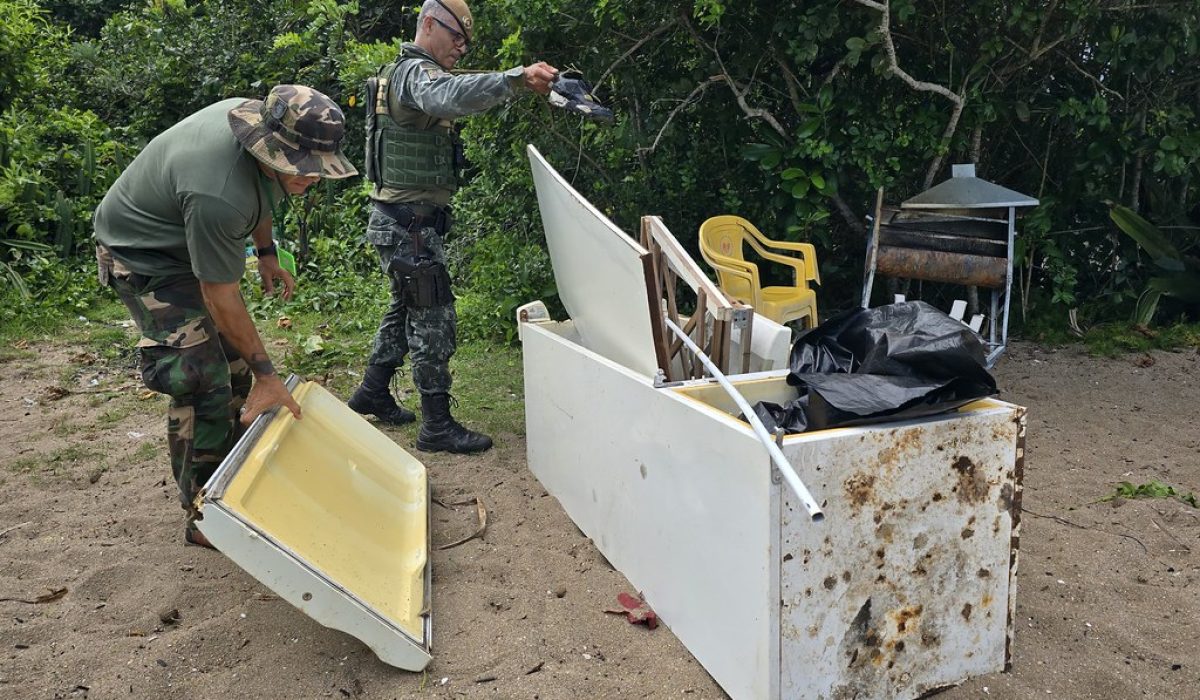 55131185263_9a37412f44_b