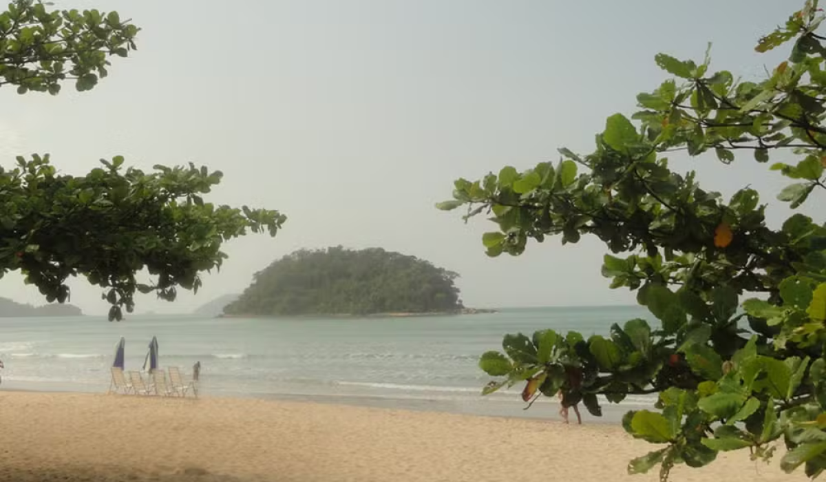 58dbc1f3-661d-4514-acb4-9f0ef6f81c54