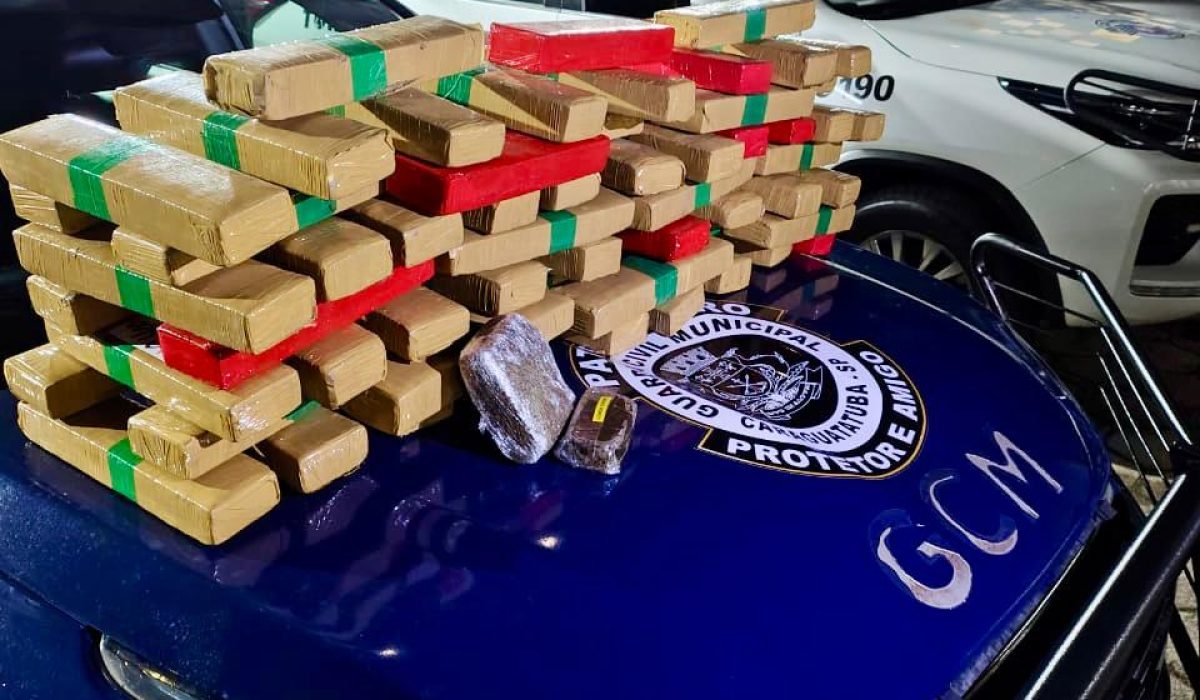 Ação conjunta apreende mais de 60kg de drogas na Tamoios