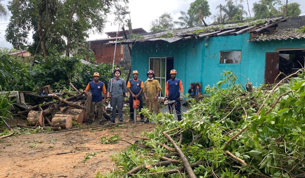 Árvore cai sobre residência e mobiliza Bombeiros e Defesa Civil em Ilhabela3