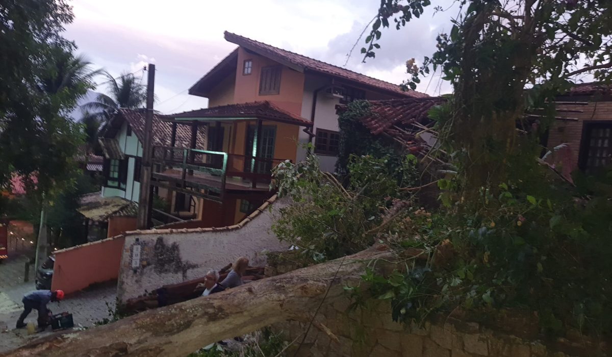 Árvore de grande porte cai sobre casa durante a madrugada em Ilhabela2
