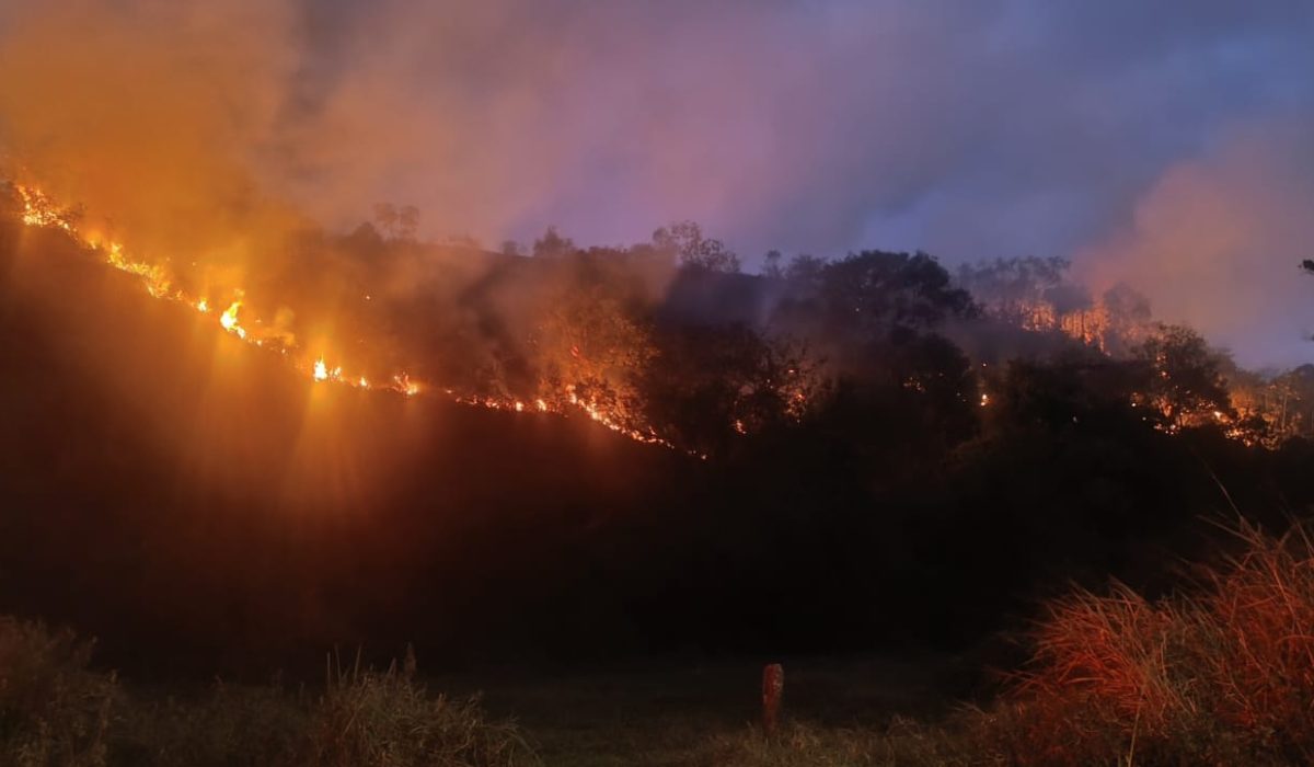 Bombeiros controlam incêndio de grandes proporções no Morro das Pedras, em Caraguatatuba2