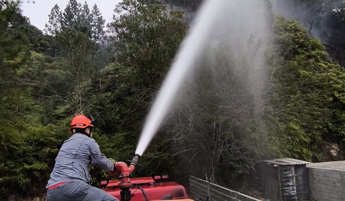 Bombeiros controlam incêndio em área de vegetação em Ubatuba3