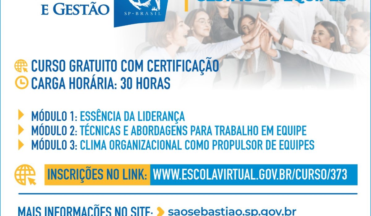 Curso Liderança e Gestão de Equipes (1)