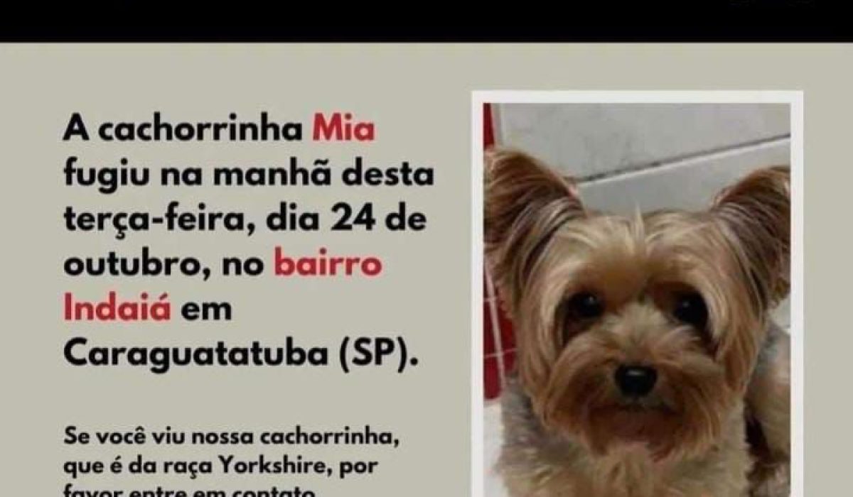 DD199992-5363-469A-9C81-99C9148671B0