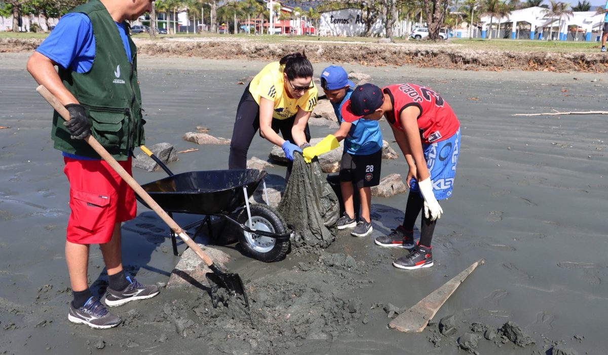 Dony-Machado-pmc-2-scaled