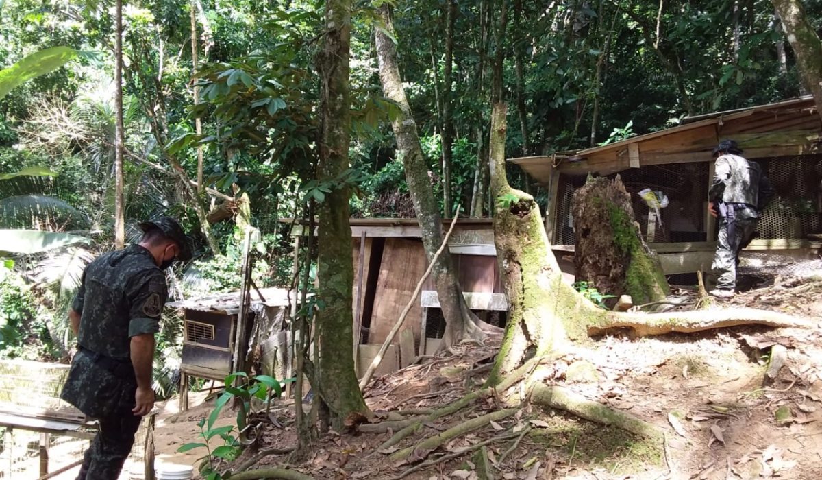 Fiscalização ambiental no Beco 51 (W1)