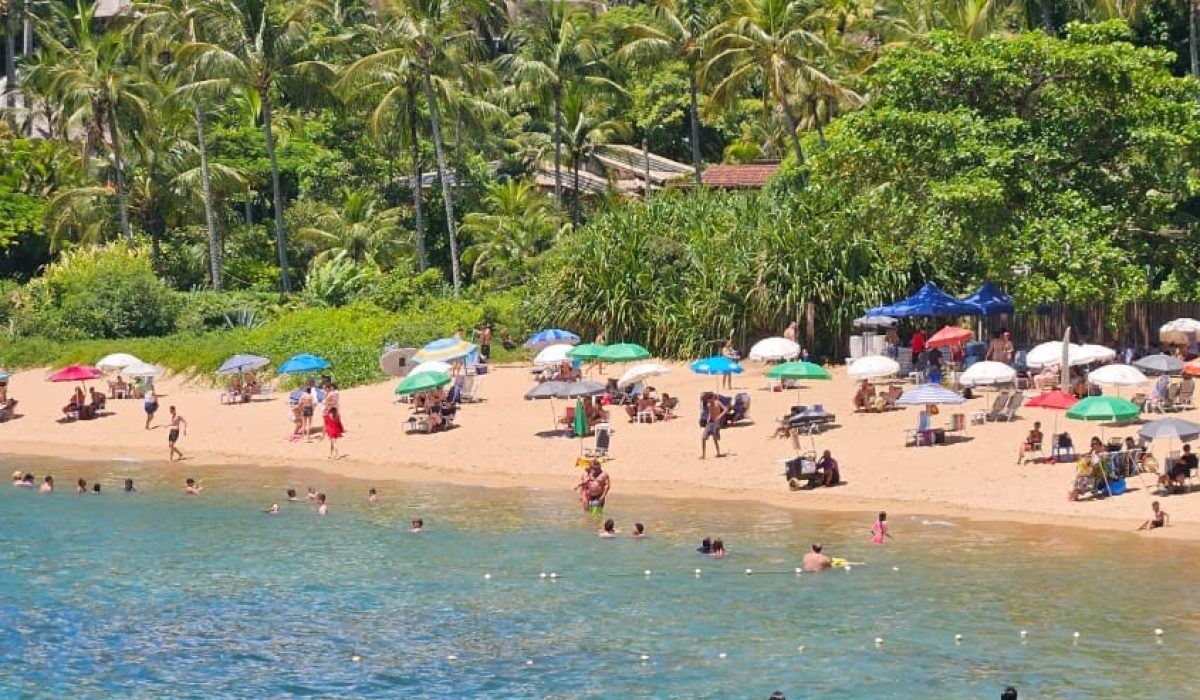 Fiscalização estratégica garante reordenamento na temporada 2026