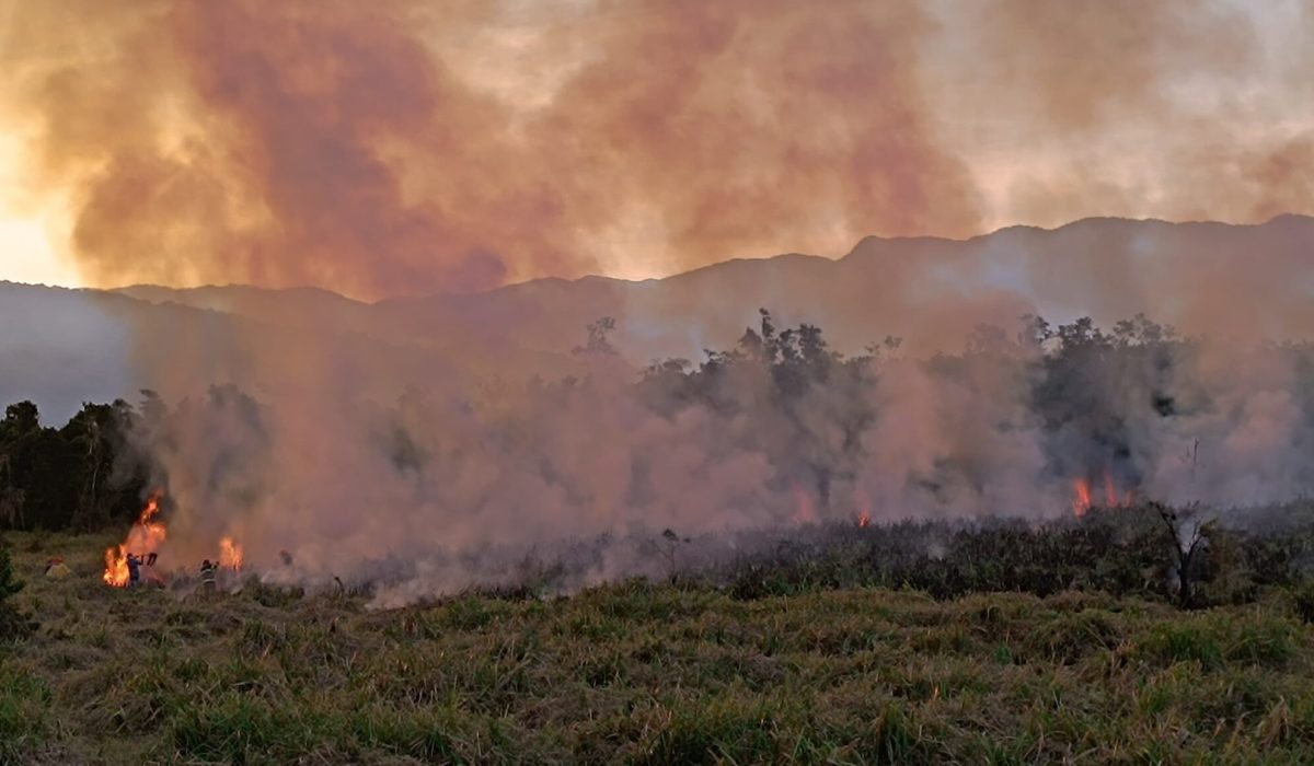 Fogo na estrada do Rio Claro destrói 7 mil metros quadrados de vegetação2