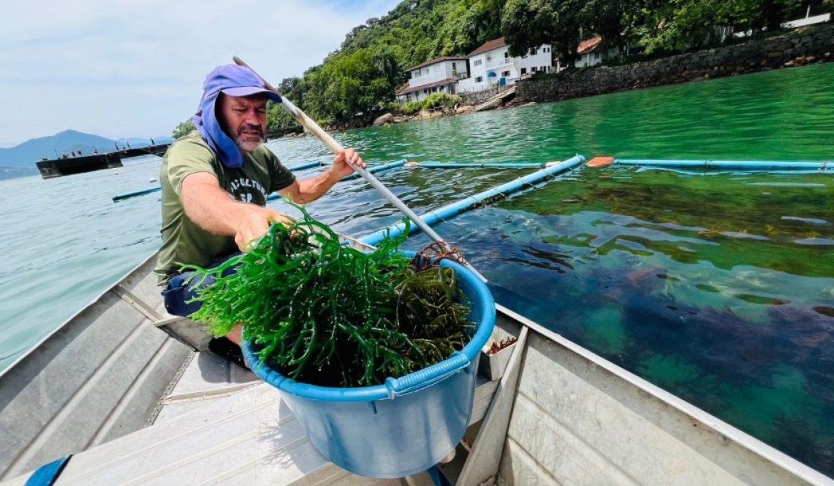 IP_SCC_Release_Campanha_Ubatuba_ok-1024x576-1