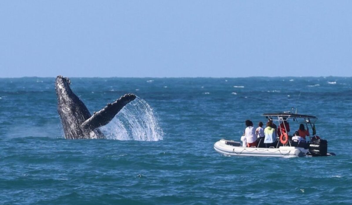 Ilhabela é selecionada para disputar prêmio nacional de boas práticas públicas