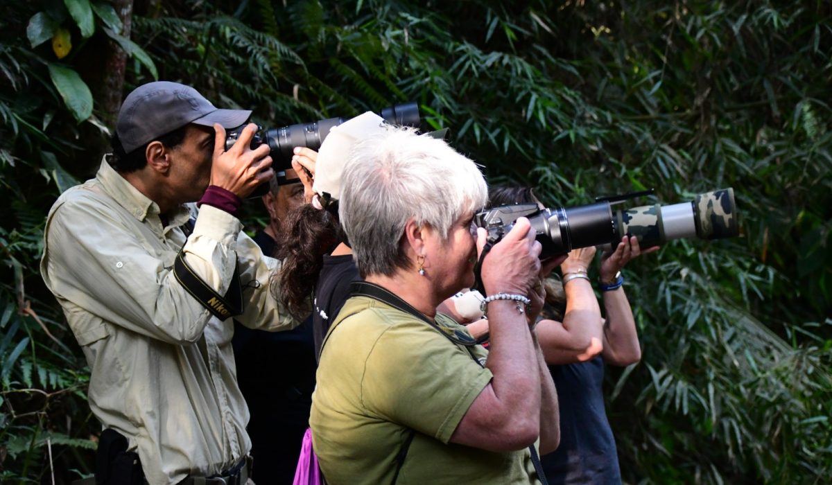 Ilhabela realiza Bird Week 2025 com programação especial de observação de aves e educação ambiental1