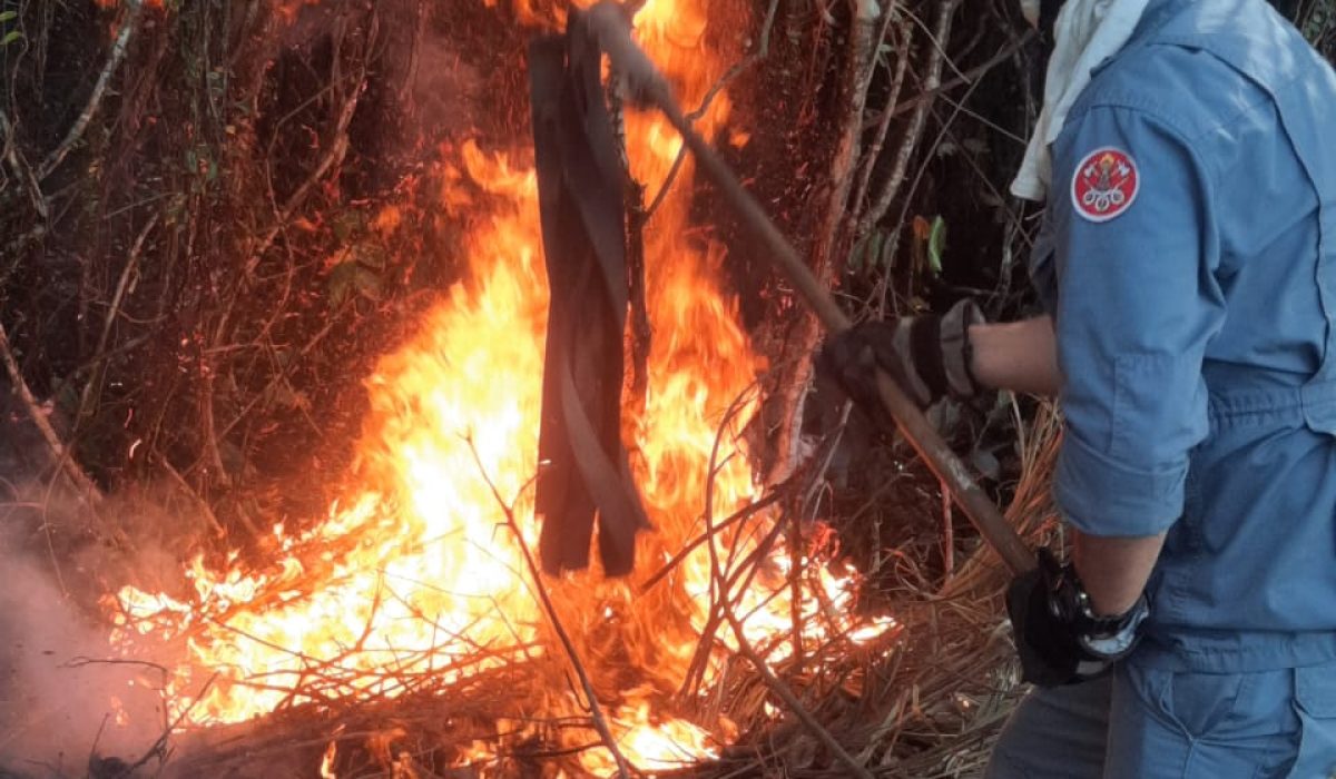 Incêndio atinge 8 mil m² de mata em Ubatuba e desafia bombeiros1