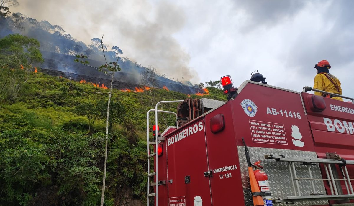 Incêndio atinge área de vegetação no Morro do Areal em Ubatuba2