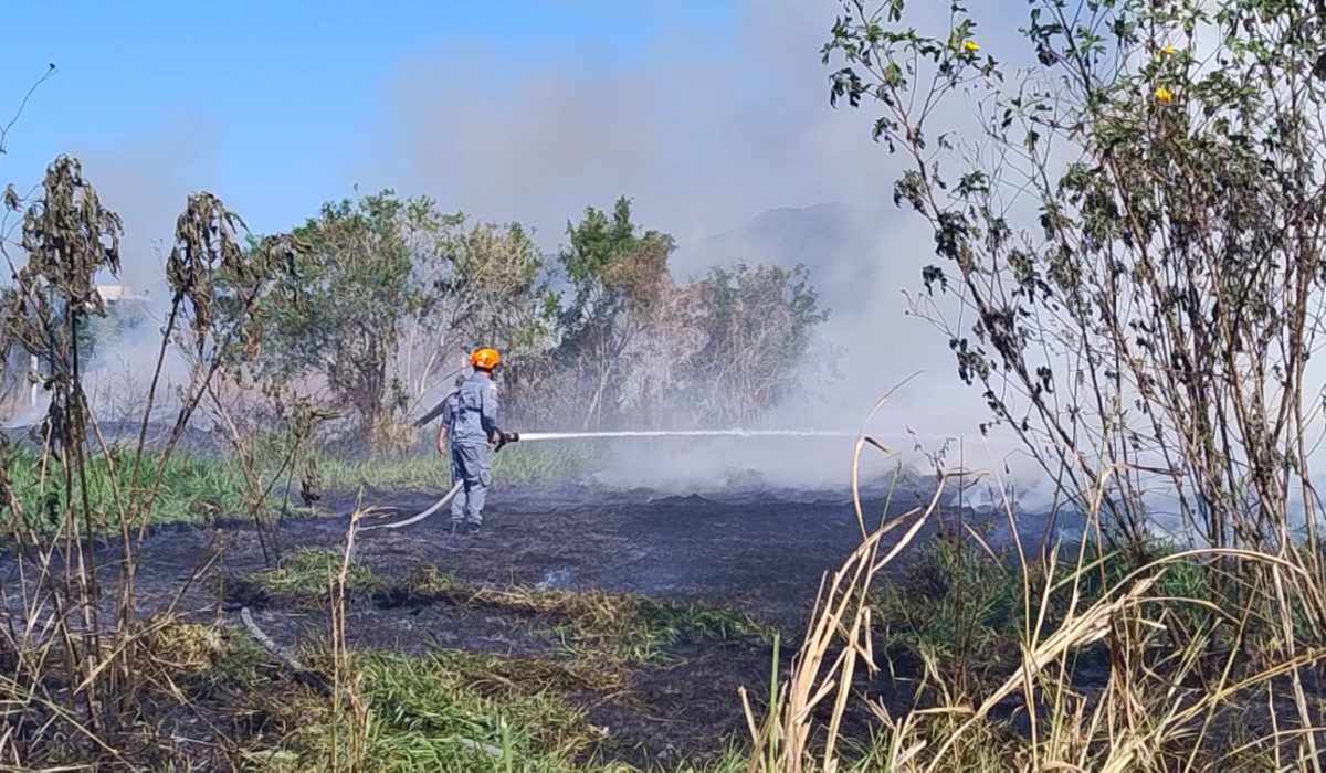 Incêndio atinge área de vegetação no Pontal Santa Marina, em Caraguatatuba1