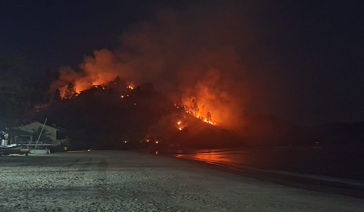 Incêndio de grandes proporções atinge vegetação na praia da Tabatinga, em Caraguatatuba