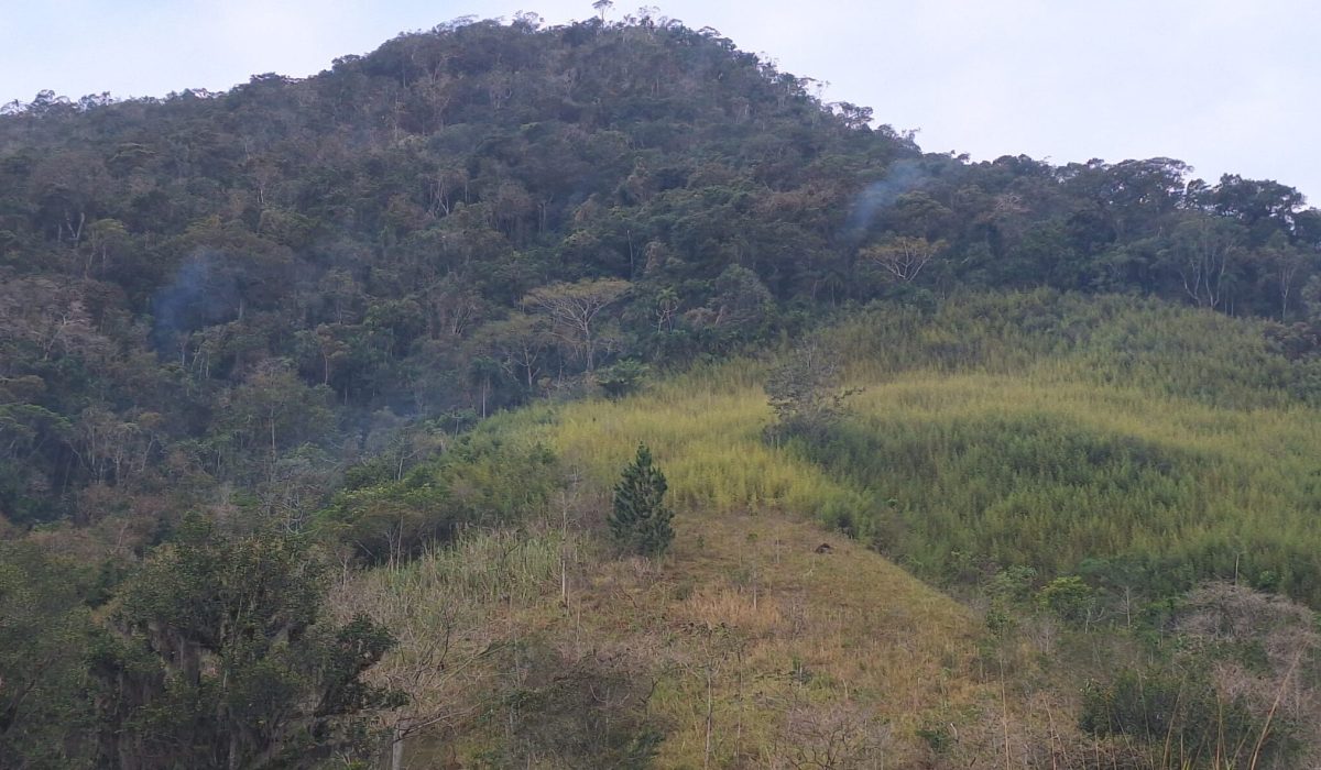 Incêndio no Morro do Chocolate é controlado e operação é encerrada em Caraguatatuba3