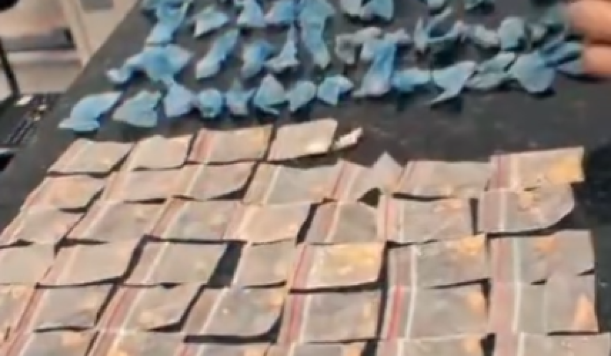 Mais de 250 porções de crack, cocaína e maconha são apreendidas na Vila Sahy, em São Sebastião2