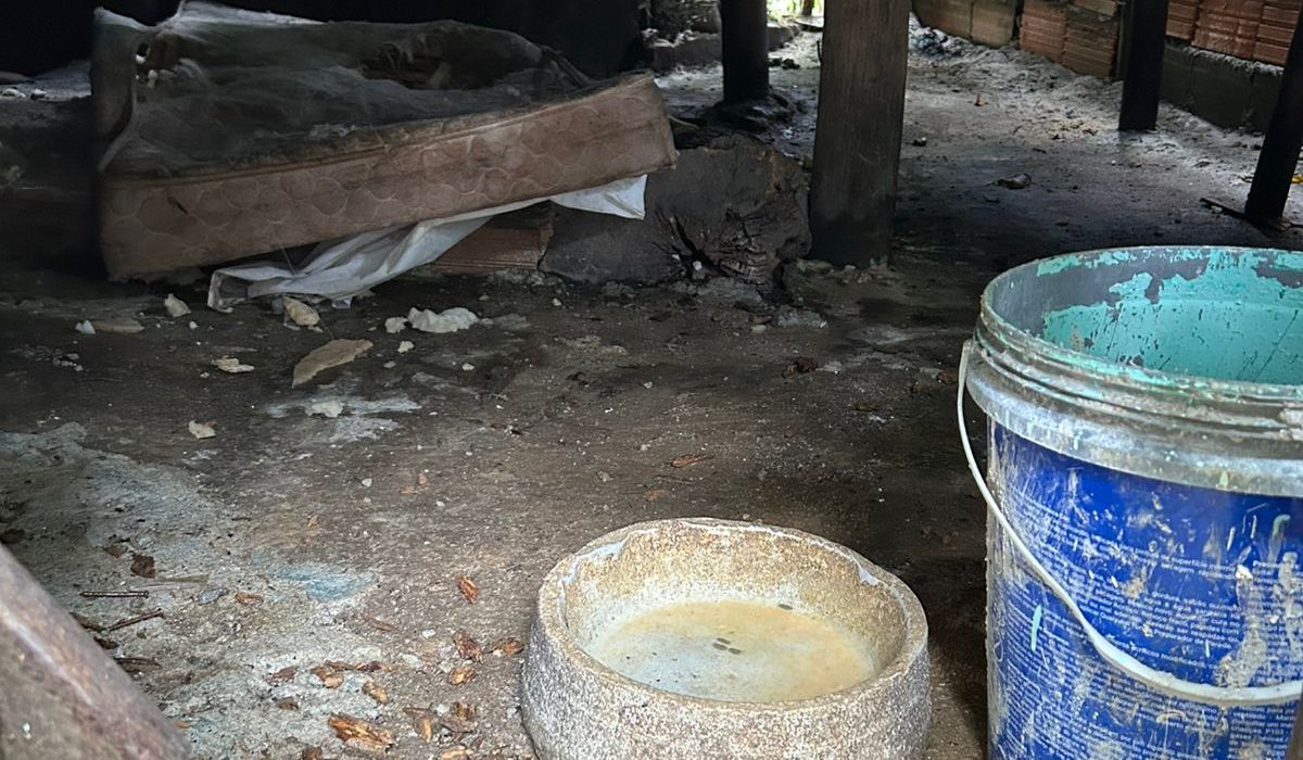 Maustratos Centro de Referência Animal de Ilhabela e Polícia Militar Ambientalflagram cães em situação insalubre e tutor é preso no Green Park