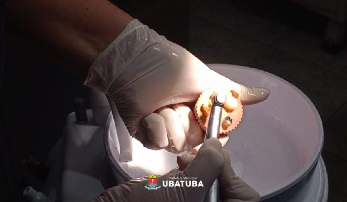 Odontologia avança em capacitação prática sobre endodontia