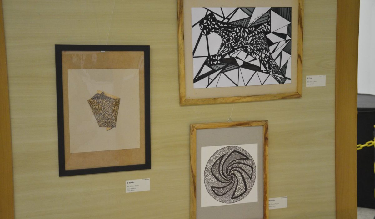 #PraTodosVerem - Obras abstratas feitas com a técnica 'à BIC' compõem exposição 'Primavera com Marisa' (Foto JC Curtis - Fundacc)
