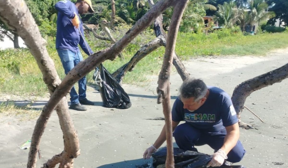 Prefeitura de São Sebastião efetua nova ação de educação ambiental no Mangue do Araçá nesta sexta-feir