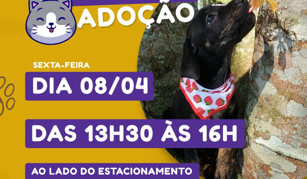 Prefeitura de São Sebastião promove Feira de Adoção de Cães e Gatos hoje (8), no Centro