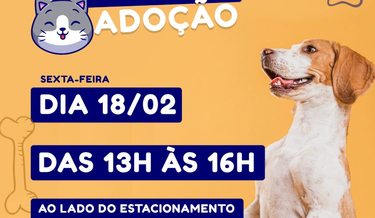 Prefeitura de São Sebastião realiza Feira de Adoção de Cães nesta sexta-feira (18) no Centro