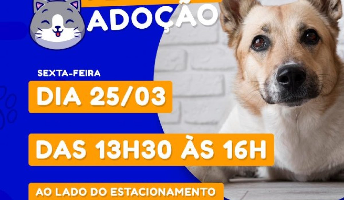 Prefeitura promove Feira de Adoção de Cães e Gatos esta tarde (25), no Centro