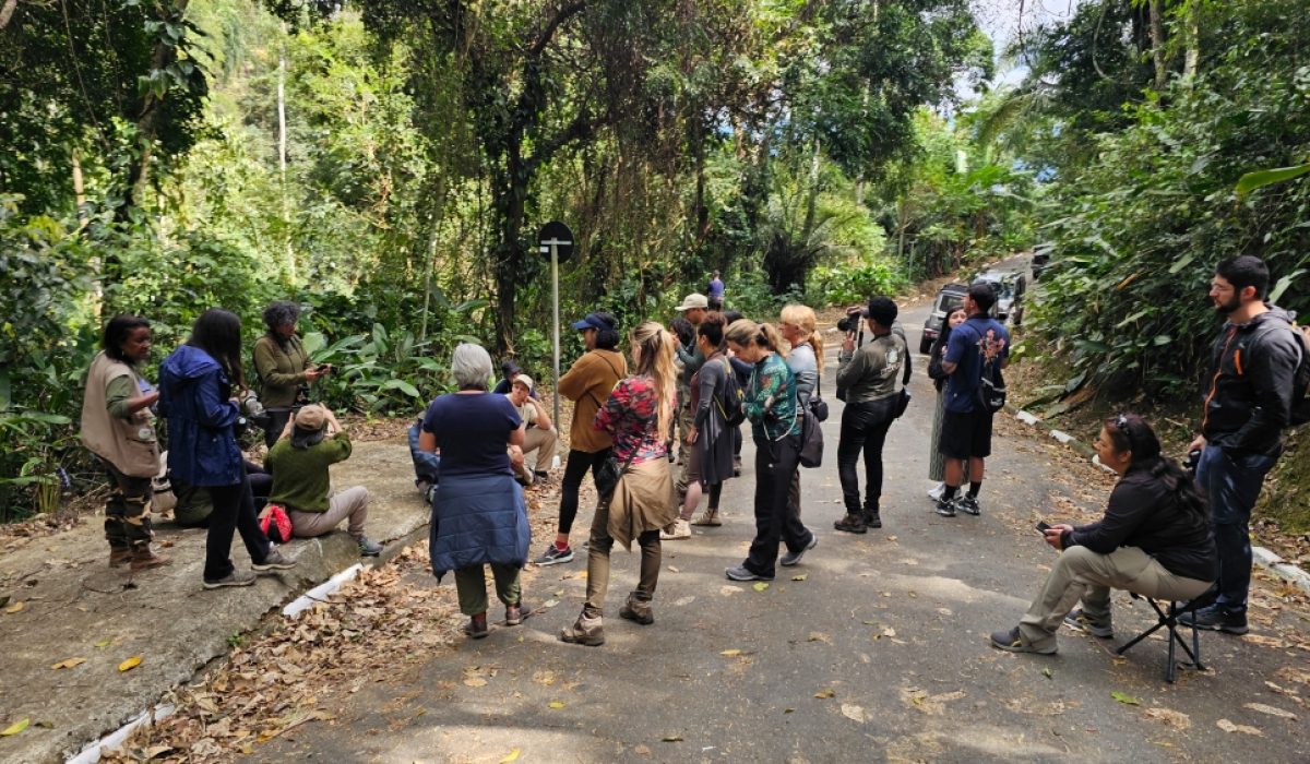 Programação especial marca o Dia da Mulher com foco em bem-estar e educação ambiental em Ilhabela