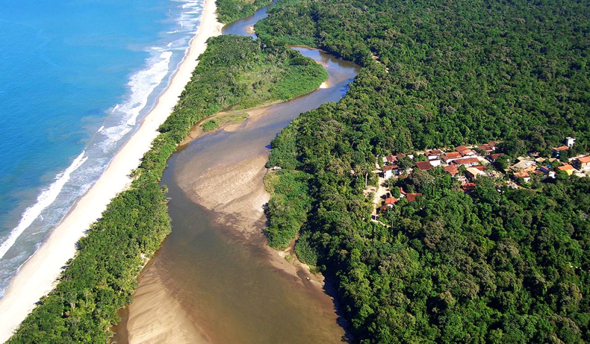 Puruba