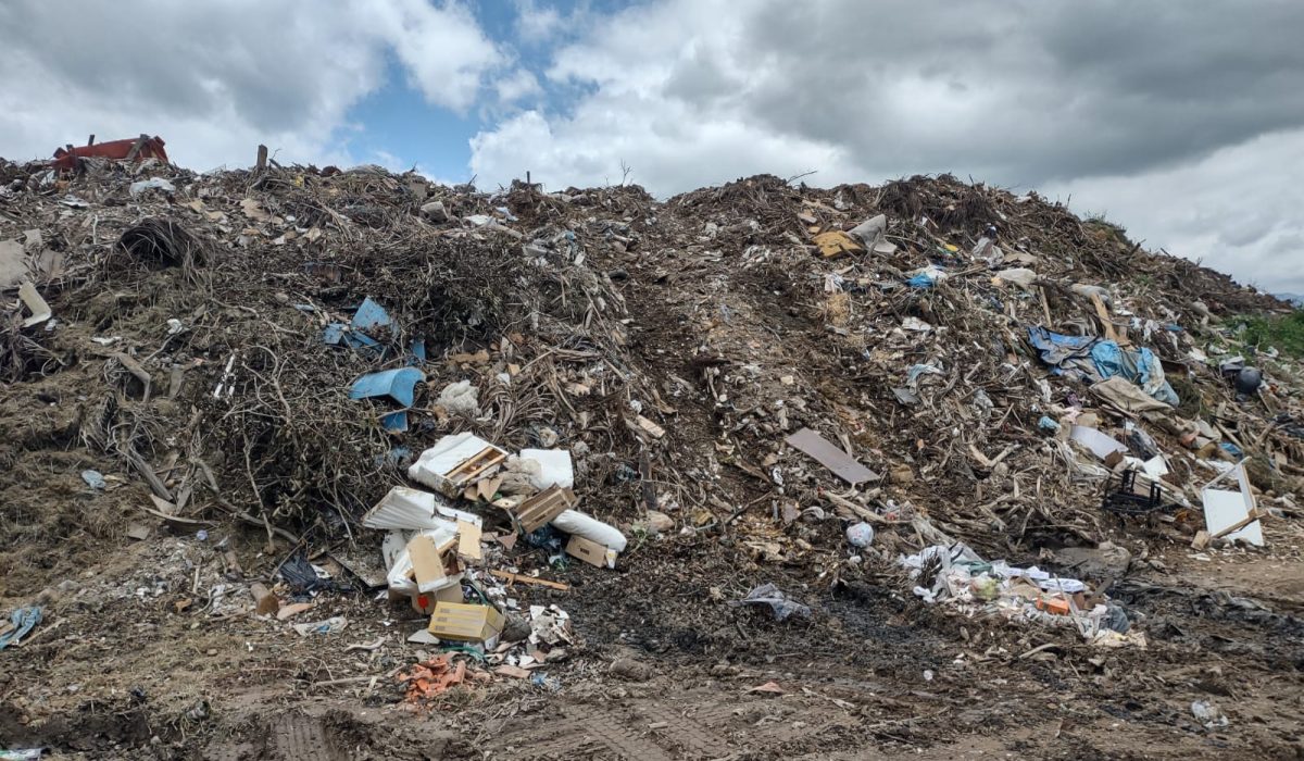 WhatsApp Image 2022-12-08 at 10.31.00 AM