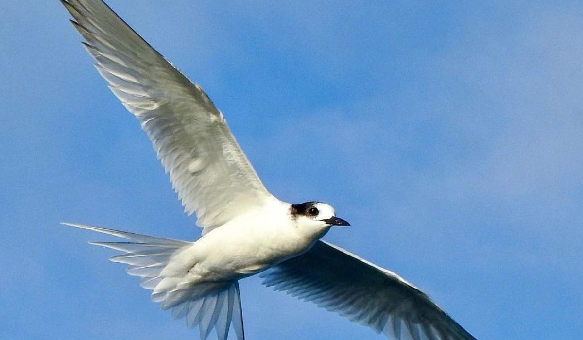 WhatsApp Image 2023-10-10 at 09.15.20