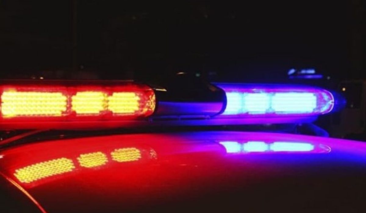 WhatsApp Image 2025-11-04 at 14.15.50