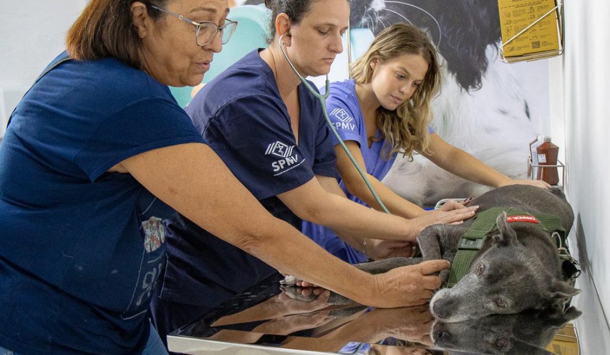 WhatsApp Image 2025-11-06 at 16.58.53