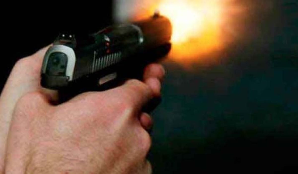 WhatsApp Image 2025-11-14 at 11.18.42