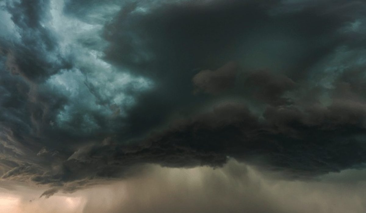 WhatsApp Image 2025-11-17 at 09.56.16